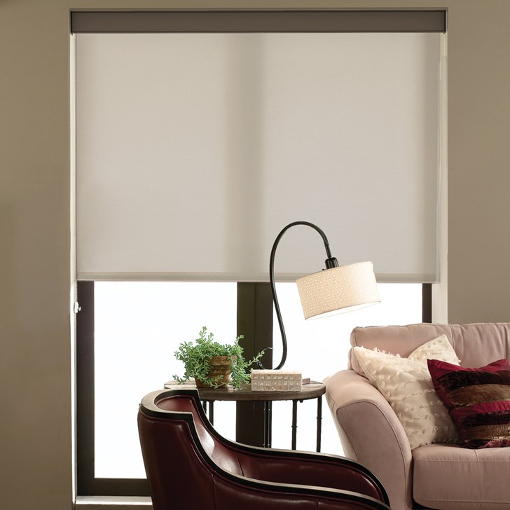 Color: Silver Lining